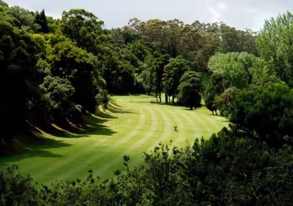 Image Lisbon Sports Club